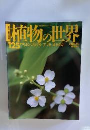 植物の世界125　9/15　ホンゴウソウアマモオモダカ