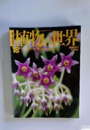 植物の世界　18　1994年8月号