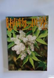 植物の世界　19　8月21日号