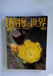 植物の世界　82