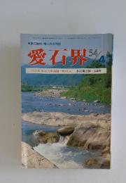 愛石果　54