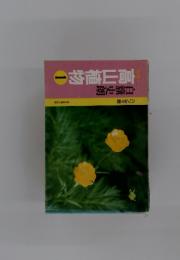 カラー　高山植物1