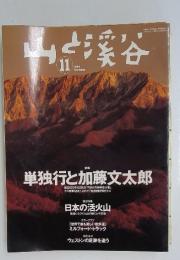 山と溪谷　2004年　11月号