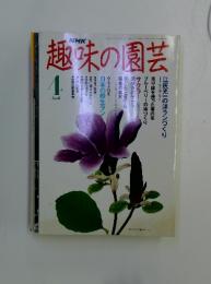 趣味の園芸　平成3年4月1日発行