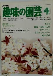 趣味の園芸 　1978年4月号