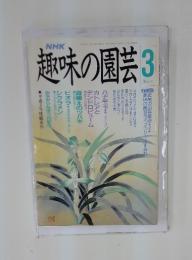 NHK趣味の園芸　1991年3月号