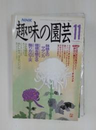 趣味の園芸　1990年11月号