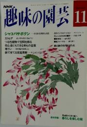 趣味の園芸　11月