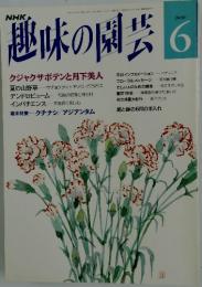 趣味の園芸 6月
