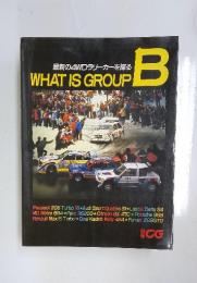 最新の4WDラリーカーを探るWHATISGROUP　B