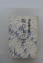 坂の上の雪