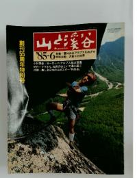 山と渓谷　1985年6月号