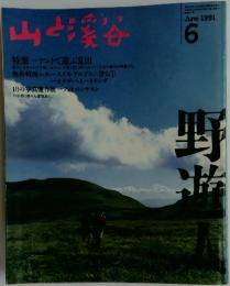 山と渓谷　1991年　6月号