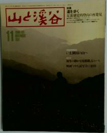 山と渓谷　1981年11月号