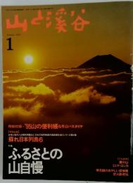 山と溪谷　1995年　1月号