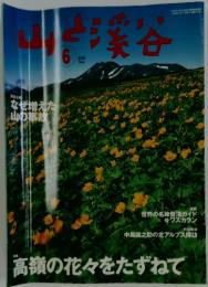 山と溪谷　2002年　6月号
