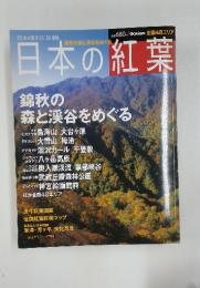 日本の紅葉　錦秋の森と渓谷をめぐる