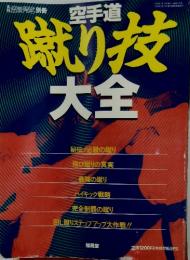 蹴り技大全