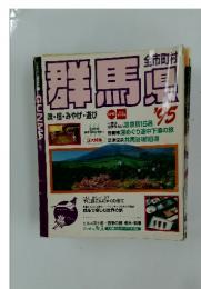 群馬　1995年