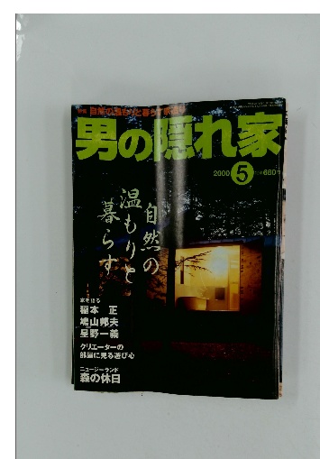 『1年保証』 平凡社版 ファブリ世界名画集「57」ダビド アルファロ その他