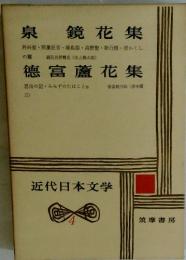 近代日本文学 4