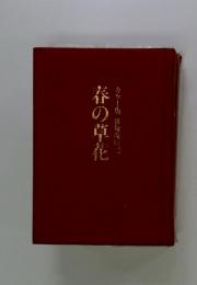 春の草花