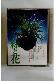 緑と花　草月特選シリーズ3　いけばなを楽しむ
