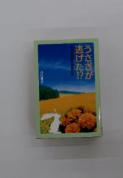 うさぎが逃げた!ある獣医師の診療日記