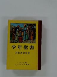 少年聖書　旧約新約聖書