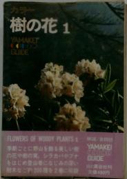 樹の花1