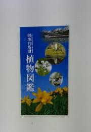 栂池自然園 植物図鑑