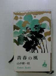 青春の風
