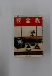 豆盆栽