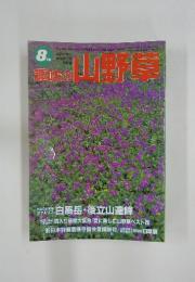 趣味の山野草  8月