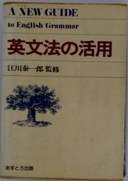 英文法の活用
