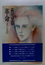 革命　メッシュ3