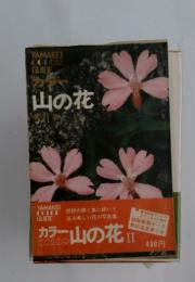 カラー山の花　第II巻