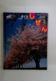 しぜん　3　さくら　横山敏孝鈴木庸夫