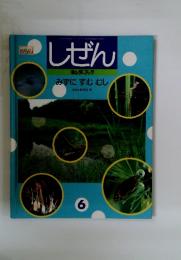 しぜん6 キンダーブック みずにすむむし