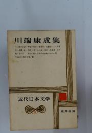 川端康成集　　近代日本文学　30