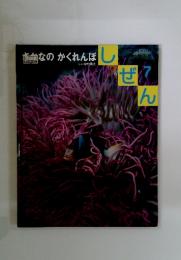 しぜん　7　論なのかくれんぼ