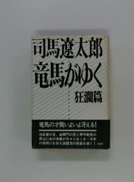 竜馬がゆく　狂瀾篇
