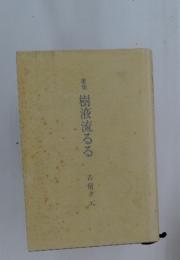 歌集　樹液流るる