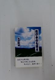 逃げ水の七郎太