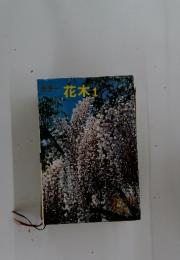 カラー花木１