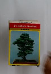 版小物盆栽と草物盆栽