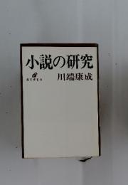 小説の研究