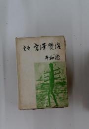定本宮澤賢治