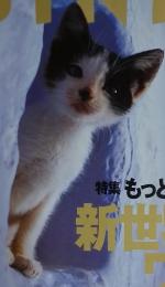 SINRA  １９９９年1月 No.61