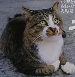 SINRA No.74 2000年2月号